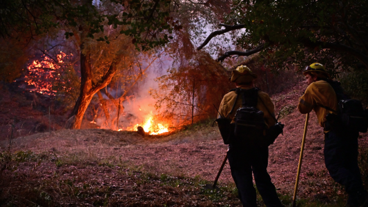 Asciende a 16 la cifra de muertos por incendios forestales en Los Angeles