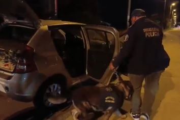 Detuvieron a una policía y a un funcionario judicial por intentar ingresar droga a un boliche en Mar del Plata
