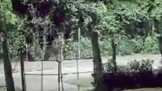 Motochorros asesinaron a un oficial de la Policía de la Ciudad en Castelar