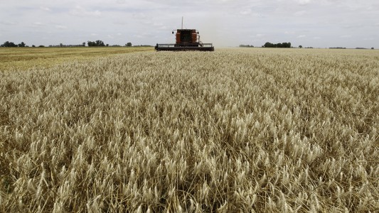 El campo le pide al Gobierno acelerar la baja de las retenciones en medio de una fuerte crisis
