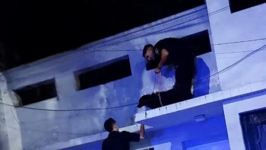 Rescataron a un perro que pasó cinco días en el techo de una casa sin agua ni comida