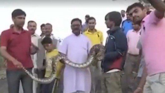 La peligrosa selfie de un hombre con una anaconda que casi termina en tragedia