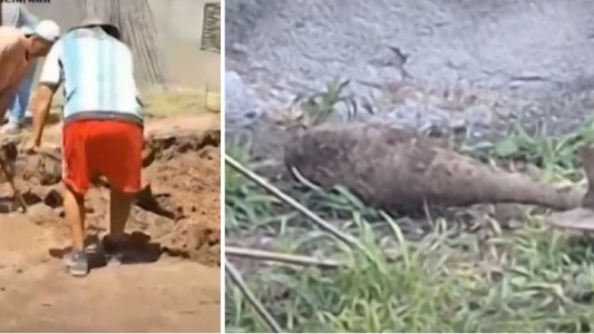 Construían una pileta en el patio de la casa y encontraron una bomba
