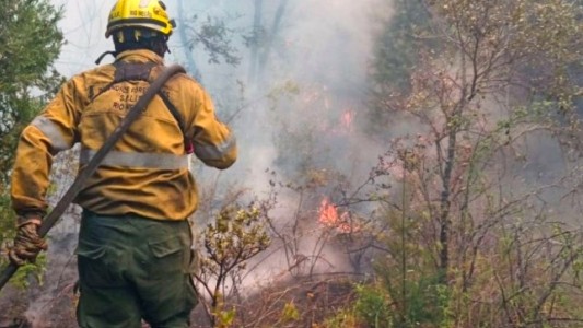 Incendios en El Bolsón: "La situación que se está viviendo es desgarradora"