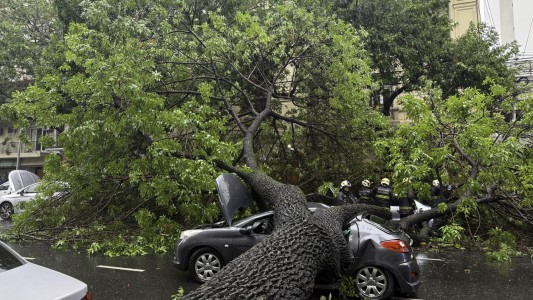 Almagro: un árbol cayó durante el temporal, aplastó varios autos y hay cuatro heridos