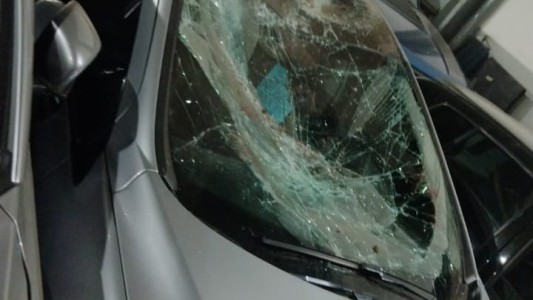 Quiso rescatar a su gato del techo y terminó cayendo 5 metros sobre un auto en una concesionaria