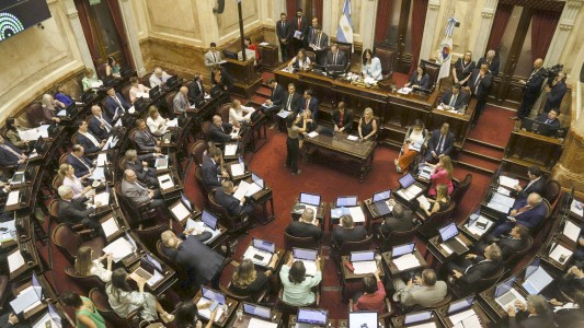 Senado: acuerdo entre el oficialismo y dialoguistas para avanzar con la suspensión de las PASO