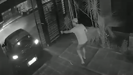 Video: les robaron el auto y lograron salvar a su perro