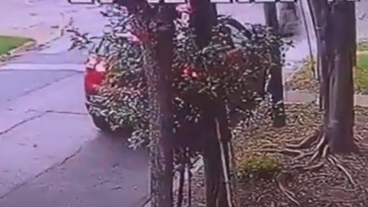 Video con imágenes sensibles: delincuentes mataron a una mujer para robarle en Vicente López