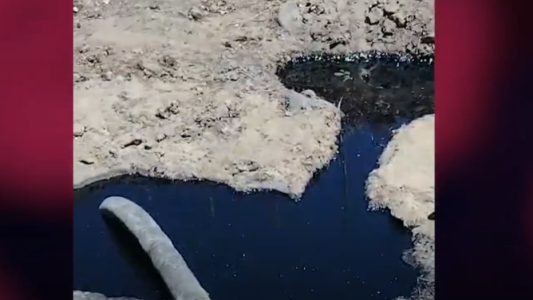 En una escuela rural cavaron un pozo para extraer agua potable y encontraron petróleo