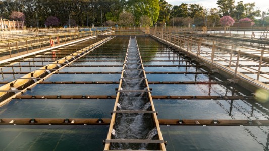 Día Mundial del Agua: Hasta el 30% del agua envasada tienen valores de nitrato por encima del límite recomendado