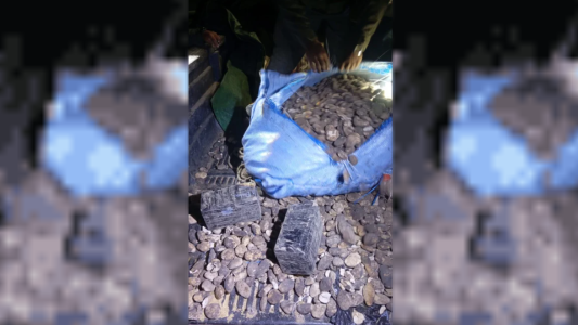 Jujuy: el perro antinarcóticos "Yin" halló 44 kilos de cocaína escondidos en bolsas de papas