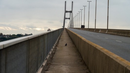 Exigen un pasafauna en el puente Rosario-Victoria