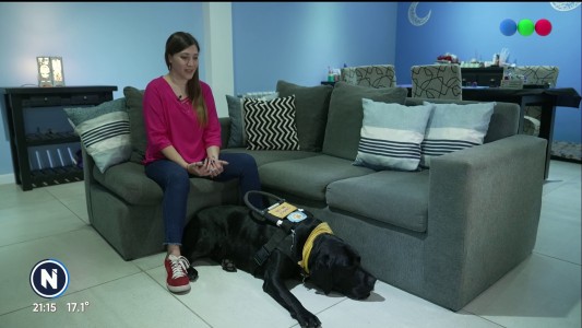 "Amores perros": las historias de Tamara, Emma y Nicolás y sus compañeros de cuatro patas