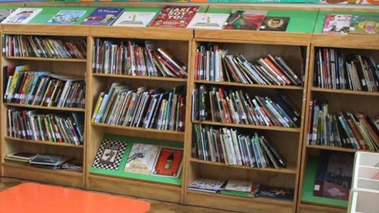 Educación: el 59% de los chicos argentinos tienen menos de 20 libros en sus casas