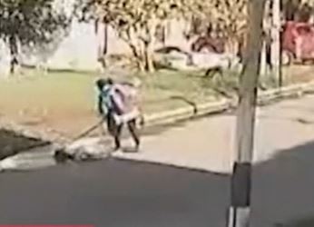 La Plata: Un camión recolector atropelló a una barrendera