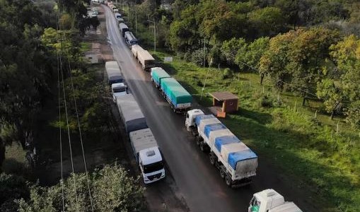Cosecha récord impulsa el arribo masivo de camiones a puertos cerealeros y anticipa millonaria liquidación