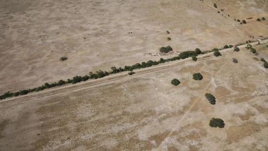 El Gobierno declaró la emergencia agropecuaria para Chaco y Santa Fe