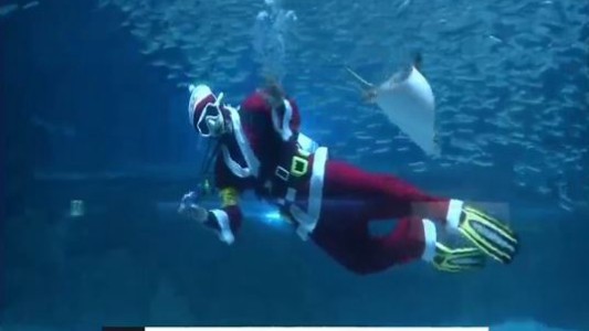 Papá Noel también bucea