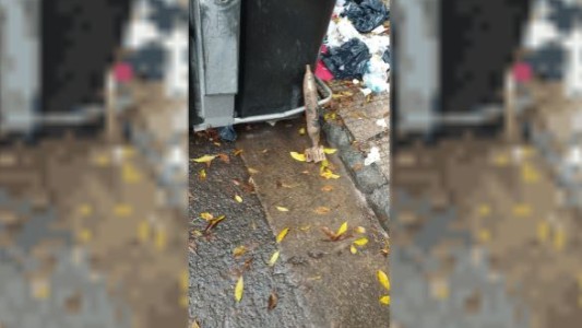 Encontraron un misil de mortero en Balvanera y hubo preocupación entre los vecinos