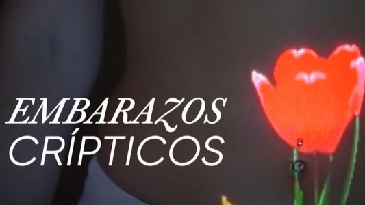 Embarazo Críptico: cuando el cuerpo guarda un secreto