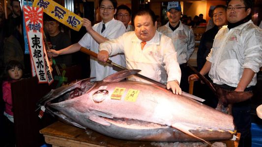 Pagó más de 670 mil dólares por un pescado de 212 kilos