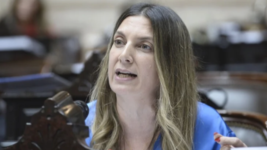 Lospennato: "Se cometieron una serie de delitos graves"