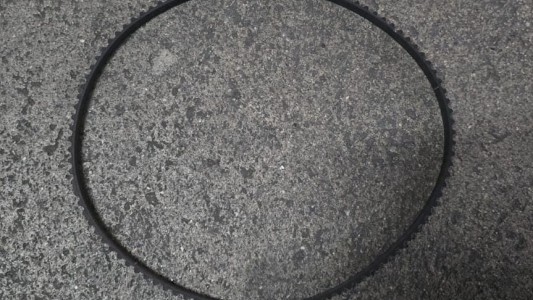 Detuvieron a una mujer que redujo con una correa a dos nenes de 9 años