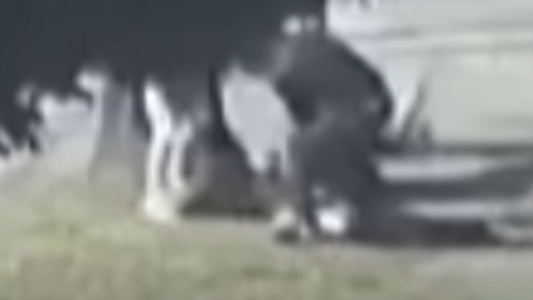 Una pareja con una nena asaltó y golpeó a una mujer