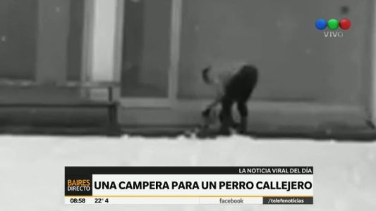 Video conmovedor: el hombre que le donó su campera a un perro callejero que dormía bajo la nieve