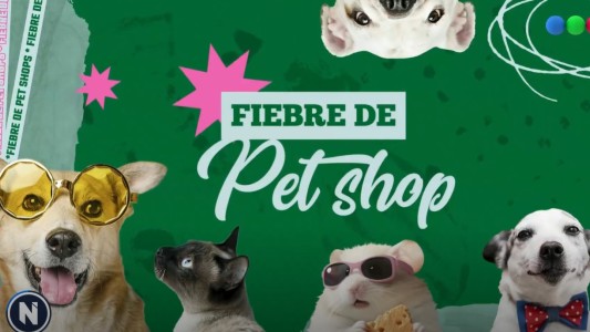 Fiebre de Pet Shops: cada vez se abren más por la alta rentabilidad