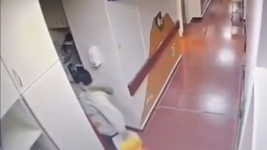 Visitó a su nieta en un hospital, le robó el celular a una enfermera y quedó detenida