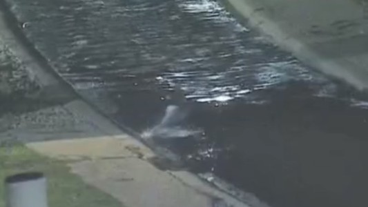 En pleno invierno: intentó robar una moto y se lanzó al río para escapar