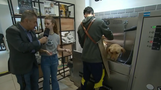 Cómo es y cuánto cuesta el lavado autoservicio de perros