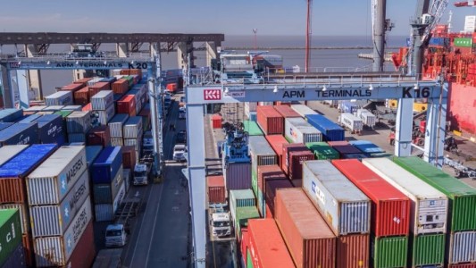 La Aduana cerró una de las terminales portuarias de Buenos Aires ante los desmanejos que se denuncian a diario