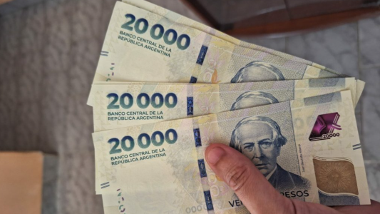 "Argentum": presentaron un proyecto de ley para cambiar la moneda y sacarle varios ceros