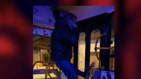 Video: la resistencia del colectivero para que no suba un hombre armado