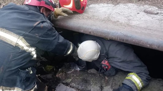 Conmovedor rescate en Córdoba: salvaron a un perro que cayó en una boca de tormenta