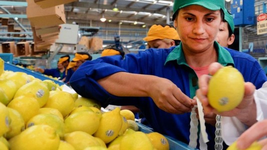 Productores de verduras y frutas salen a vender a bajos precios eliminando intermediarios