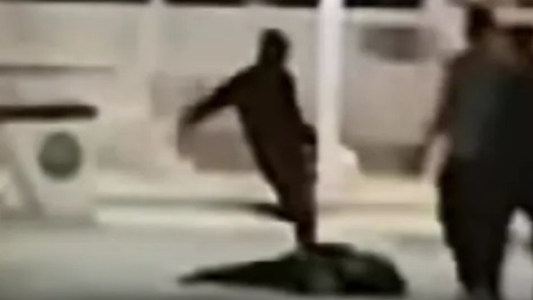 Video: policía le pegó una patada en la cabeza a un joven inconsciente