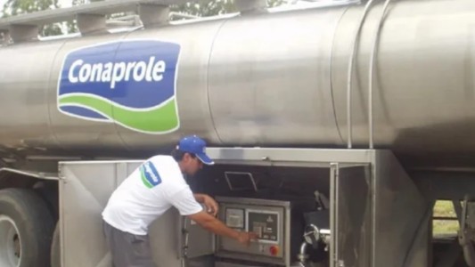 Paradoja del gigante lácteo que vende barato en Argentina: cierra planta y ofrece trasladar a obreros a 400 km