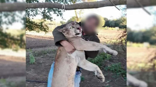 Chaco: investigan a dos hombres por cazar a una especie silvestre amparada por la ley