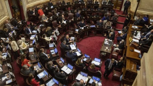 El plan para terminar con las candidaturas testimoniales: proponen prohibir por 4 años al que gane y no asuma