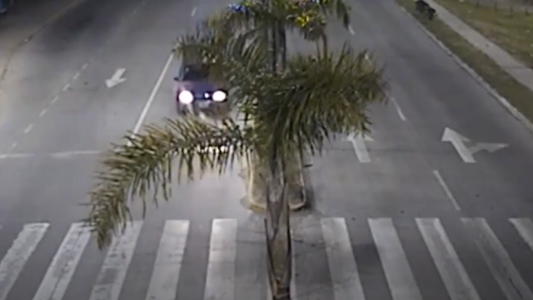 Video: venía rápido, chocó contra una palmera y volcó