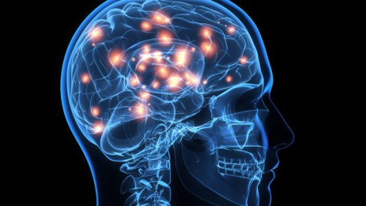 Registran actividad cerebral en un fallecido durante 10 minutos