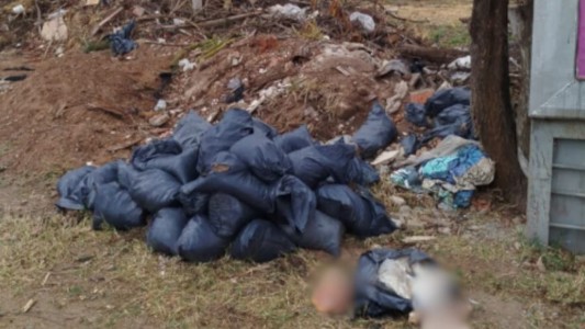 Identificaron a quién pertenecen los restos humanos encontrados en un descampado