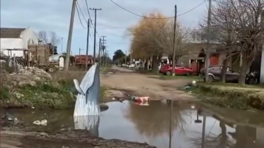 Una ballena en un charco: el reclamo de vecinos que las autoridades no solucionan