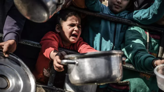 Gaza: Israel asegura que no hay "desnutrición generalizada" y acusa "explotación cínica de imágenes trágicas" de Hamas