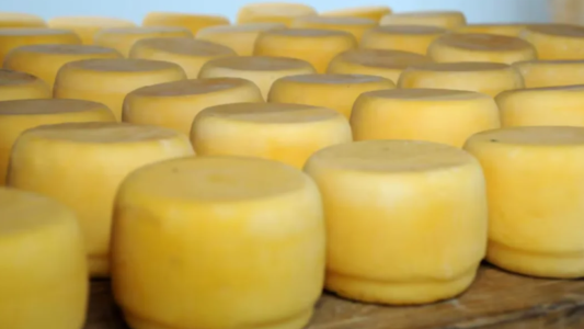 Confirman un brote de listeriosis por el consumo de un queso contaminado