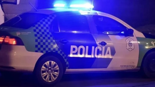 Mar del Plata: apuñaló al perro de su vecina tras una pelea entre mascotas y fue detenida